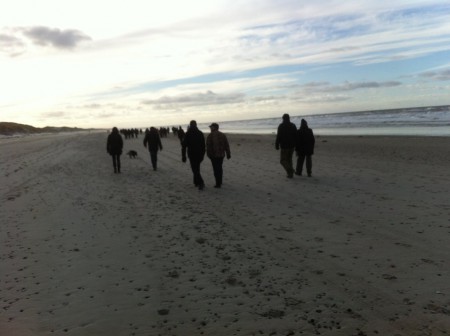 Henne strand 1.2.2015