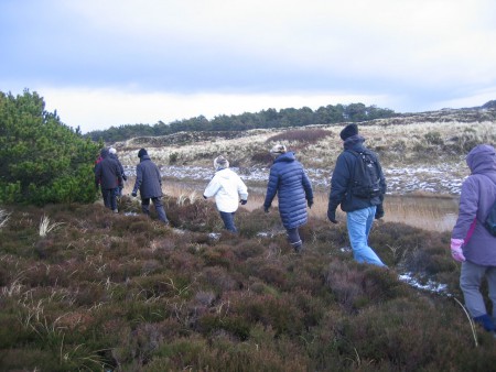 Henne mølleå 1.2.2015