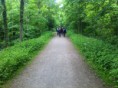 /album/diverse-billeder-fra-vore-ture/img-0506-jpg/
